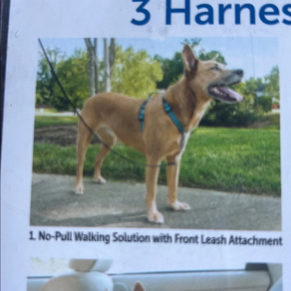 New Petsafe 3 in 1 harness Car Walk Jog L